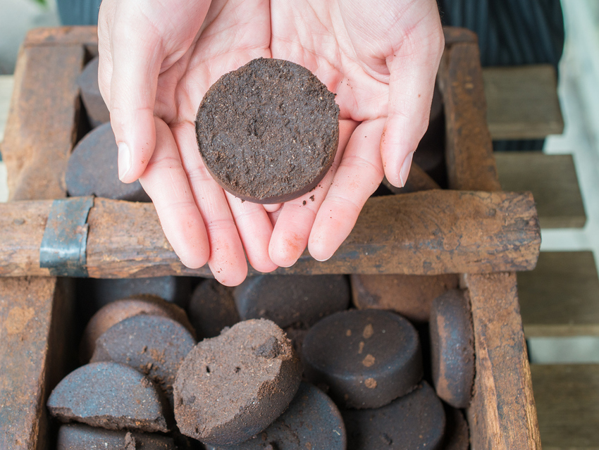 Used coffee puck