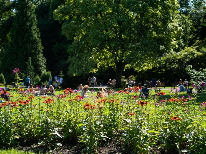 A park on a sunny day. People and orange flowers are enjoying the sunshine
